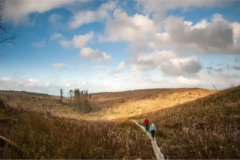 A stroll through the Cavan Burren Park