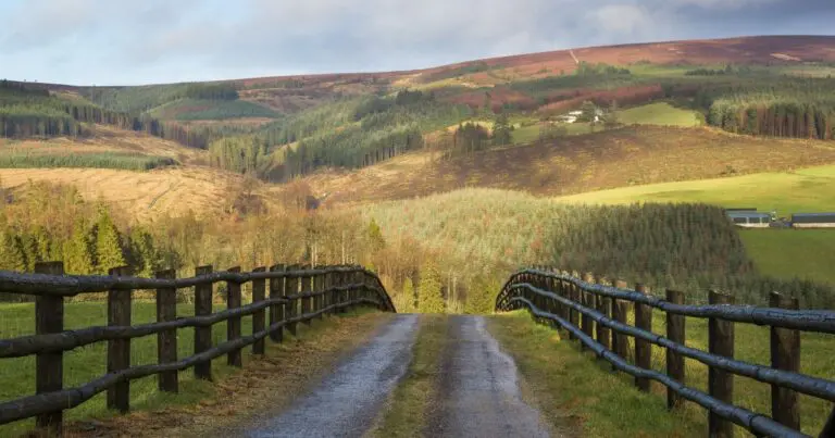 Slieve Bloom Mountains