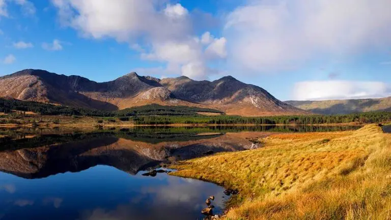 Go Wild Staycation 2024 Spring issue- Free to view, just for you