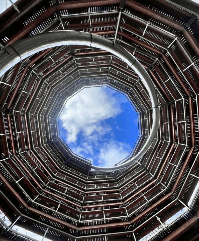 Escape to the Treetops: Summer Adventures at Avondale