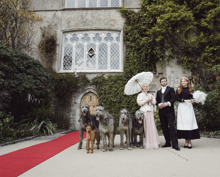 Announcing a Unique Immersive Experience at Malahide Castle & Gardens: The Hunt Dinner Party!