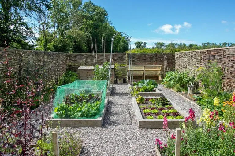 Ireland’s Secret Gardens You’ve Never Heard Of — But Need to Visit