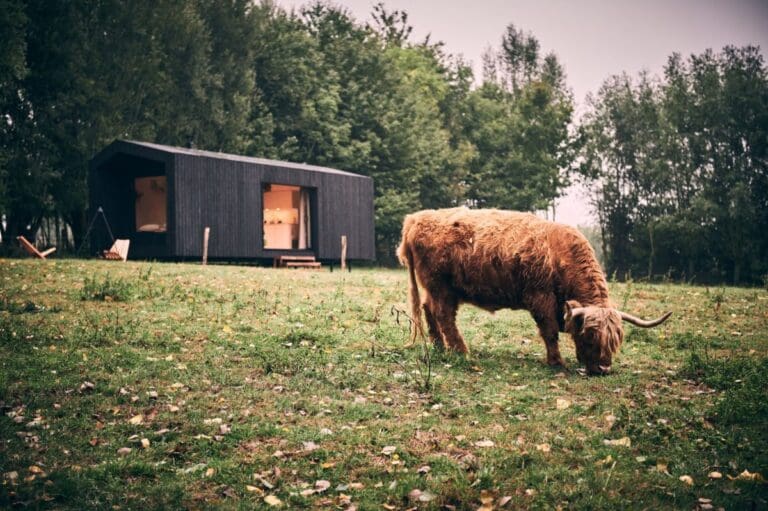 Slow Cabins, a fresh look at how we travel and enjoy the outdoors