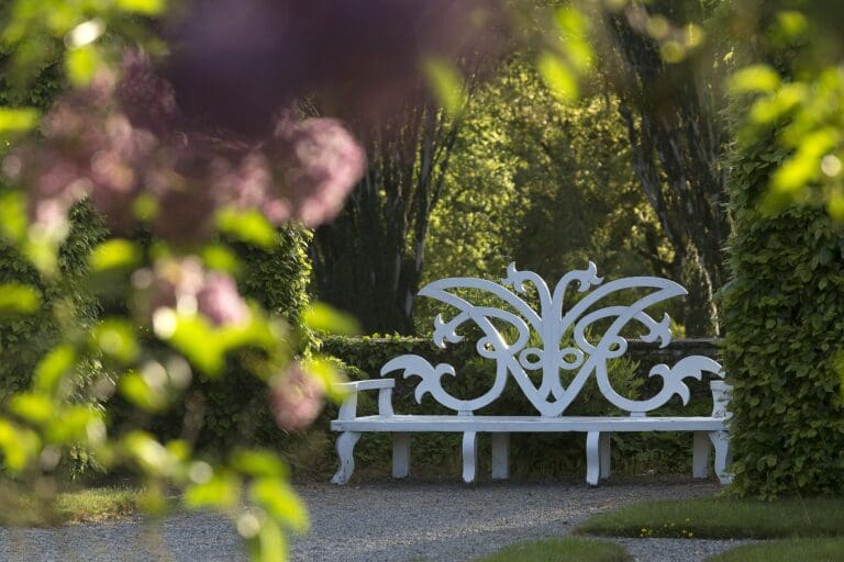 It is all about the outdoors this Summer with Birr Castle Demesne