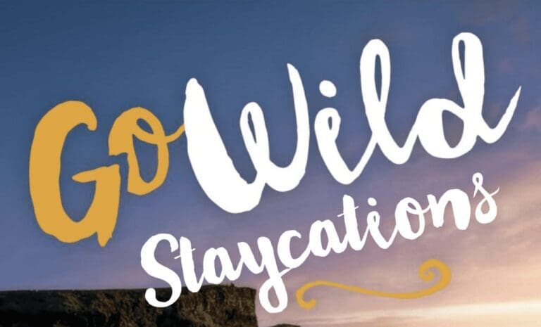 989 – The Full lists of Stockists For Go Wild Staycation Ireland 2021 from June 1st