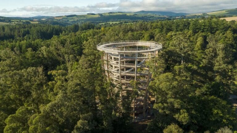 Its your time to discover Beyond the Trees in Avondale