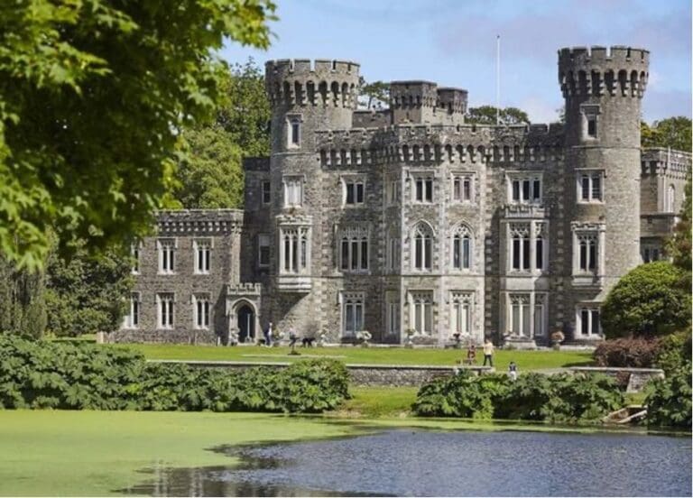 Secret centuries-old room discovered at Wexford castle
