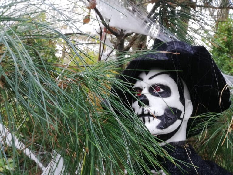 Discover the True Home of Halloween this Autumn, press play below