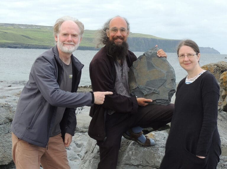 315 million-year-old fossil found near Cliffs of Moher