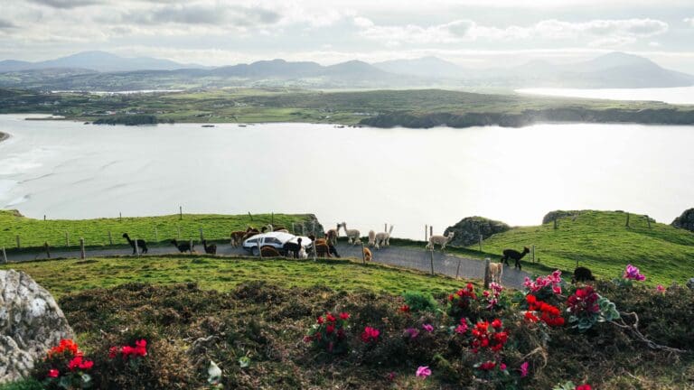Tourism Ireland unveils new ‘Fill your heart with Ireland’ videos