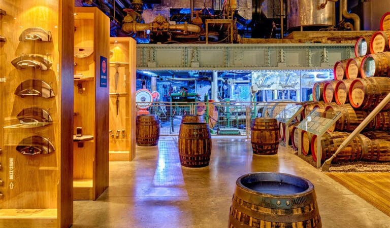 Go Wild East Coast & Hidden Heartlands 2024