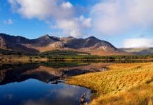 Go Wild Staycation 2024 Spring issue- Free to view, just for you