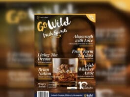 Go Wild Irish Spirits 2024