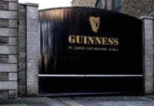 Why Guinness is bigger than ever