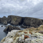 Tory Island – a treasure of art- written by Anna Sutcliffe