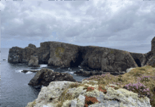 Tory Island – a treasure of art- written by Anna Sutcliffe