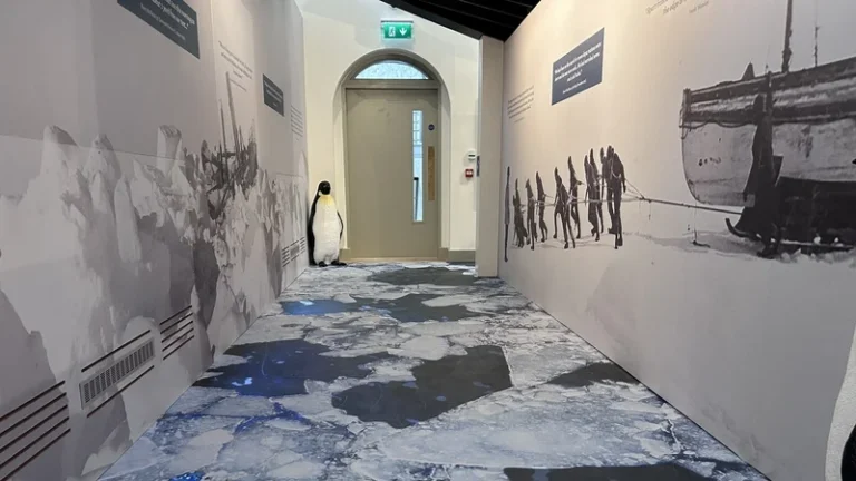 New museum on the life of explorer Ernest Shackleton opens in Co. Kildare